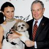 Video: Does Michael R. Bloomberg Know How To Pet A Dog?
